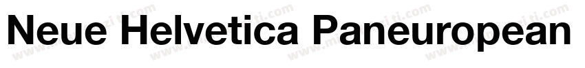Neue Helvetica Paneuropean 75 Bold字体转换